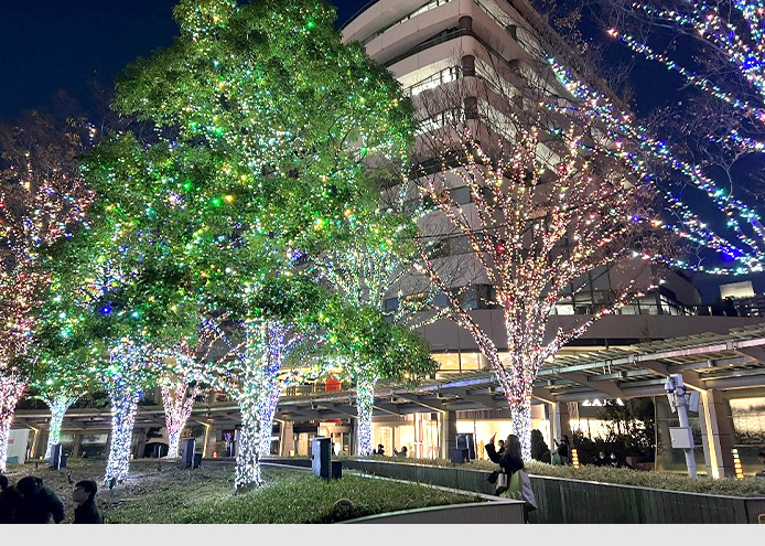 Dieses Foto wurde in den Roppongi Hills 六本木ヒルズ aufgenommen. Im Gegensatz zur deutschen Weihnachtsbeleuchtung bleibt hier kaum ein Baum ungeschmückt.